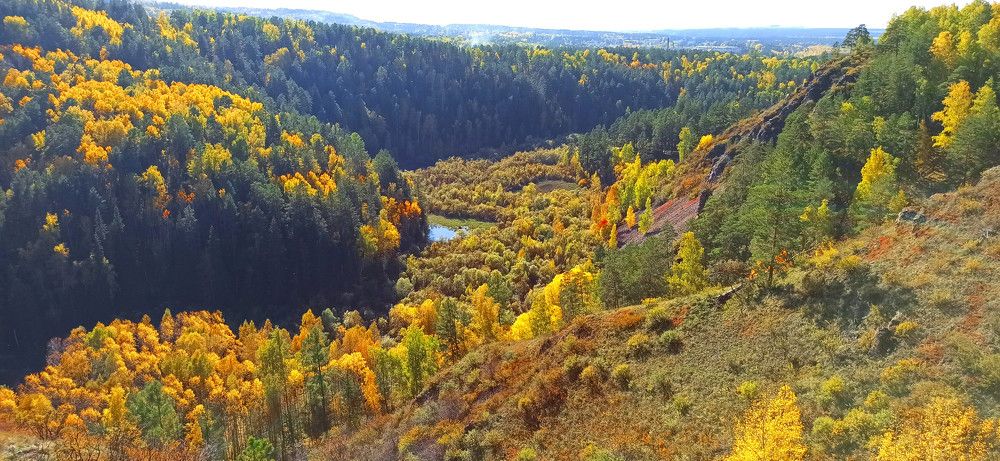 Фотография автора Галина Аверьянова