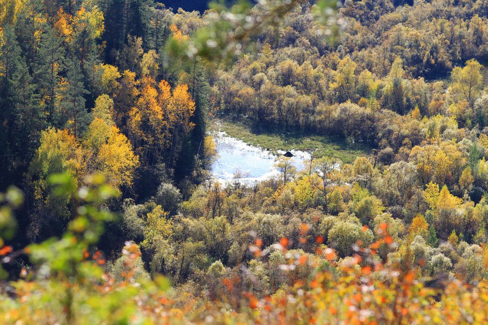 Фотография автора Галина Аверьянова