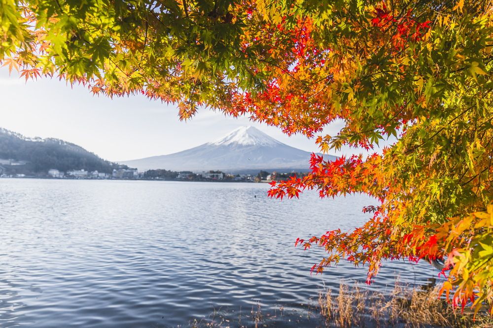 Photograph by Le Dieu