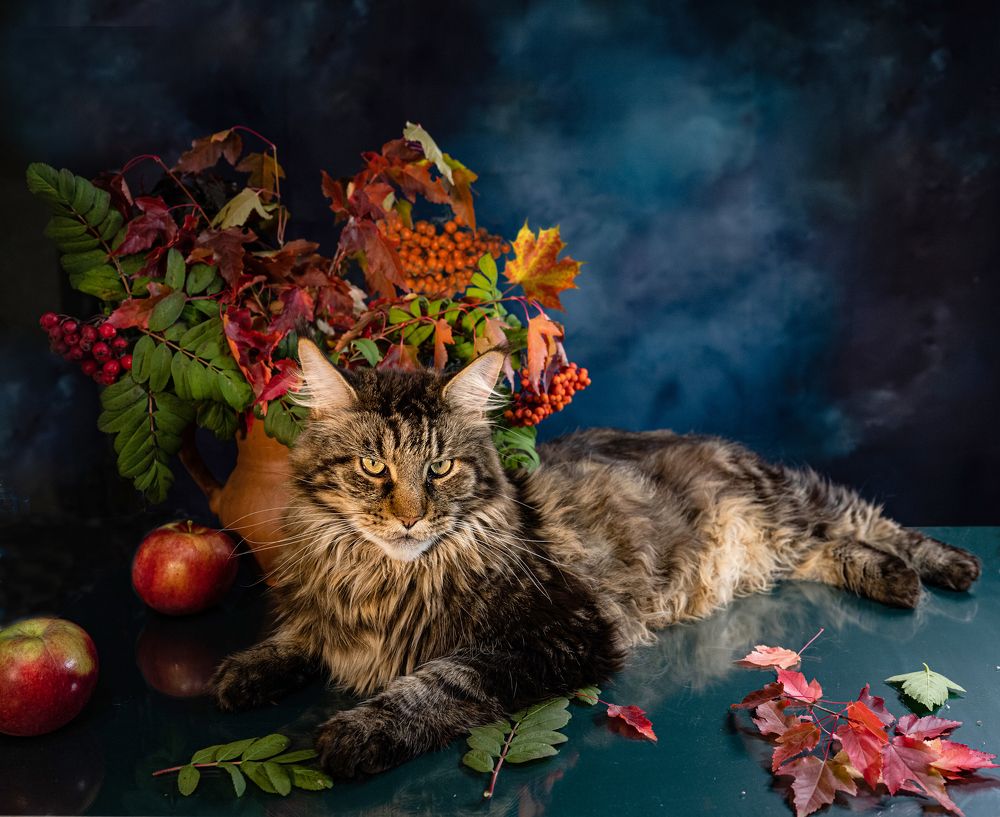 Photograph by NADEZHDA PELYMSKAIA