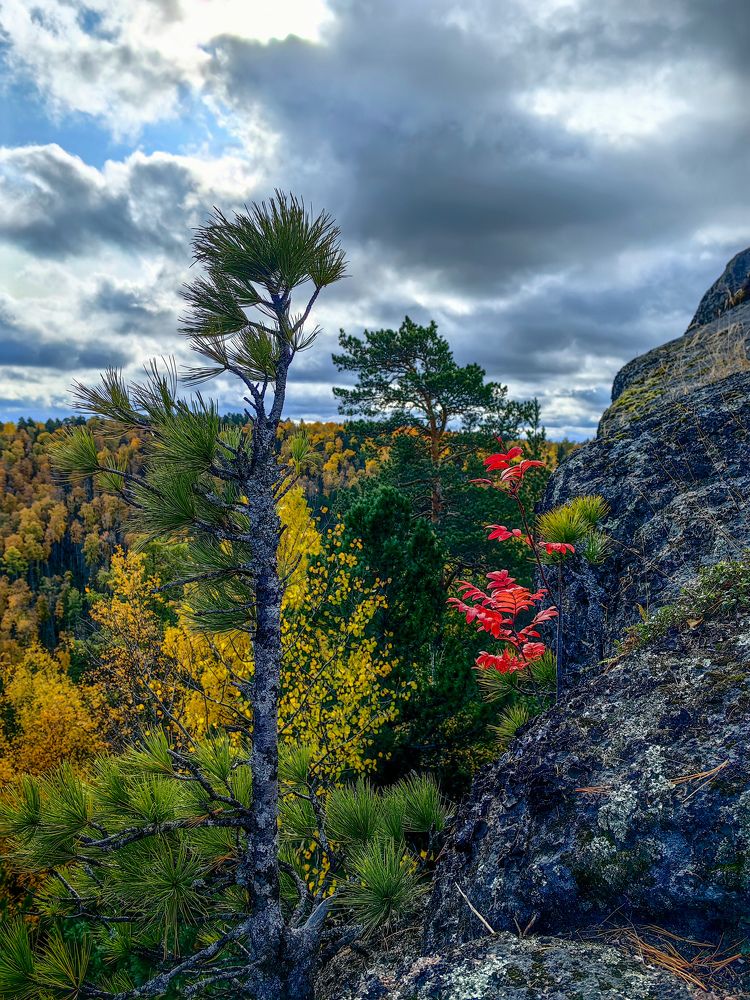 Photograph by Игорь Сапронов