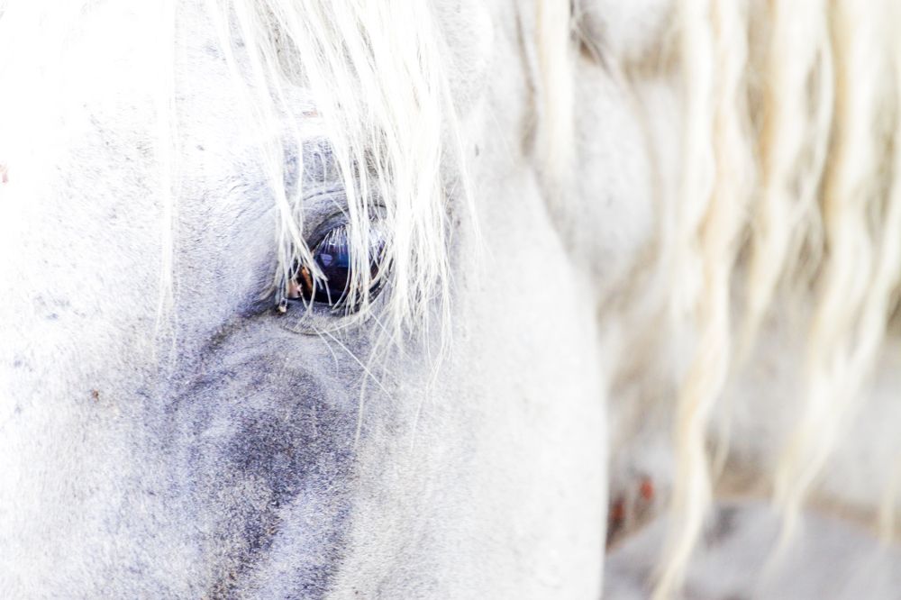 Photograph by Amir hossein Khorgooei