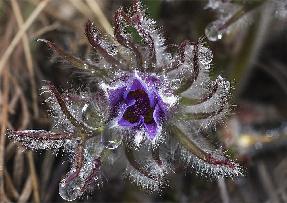 Photograph by Дроздова Наталья