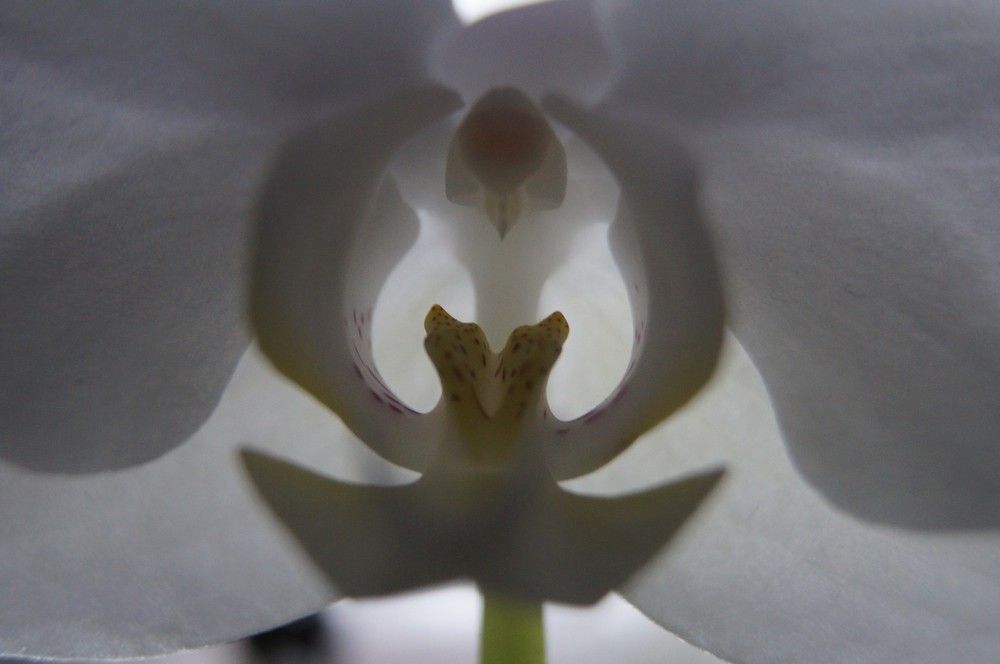 Photograph by Алексей Логинов