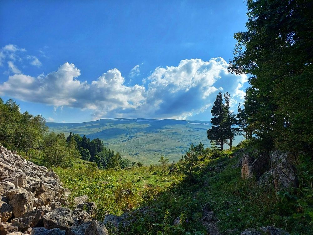 Photograph by Юлия Коробкова