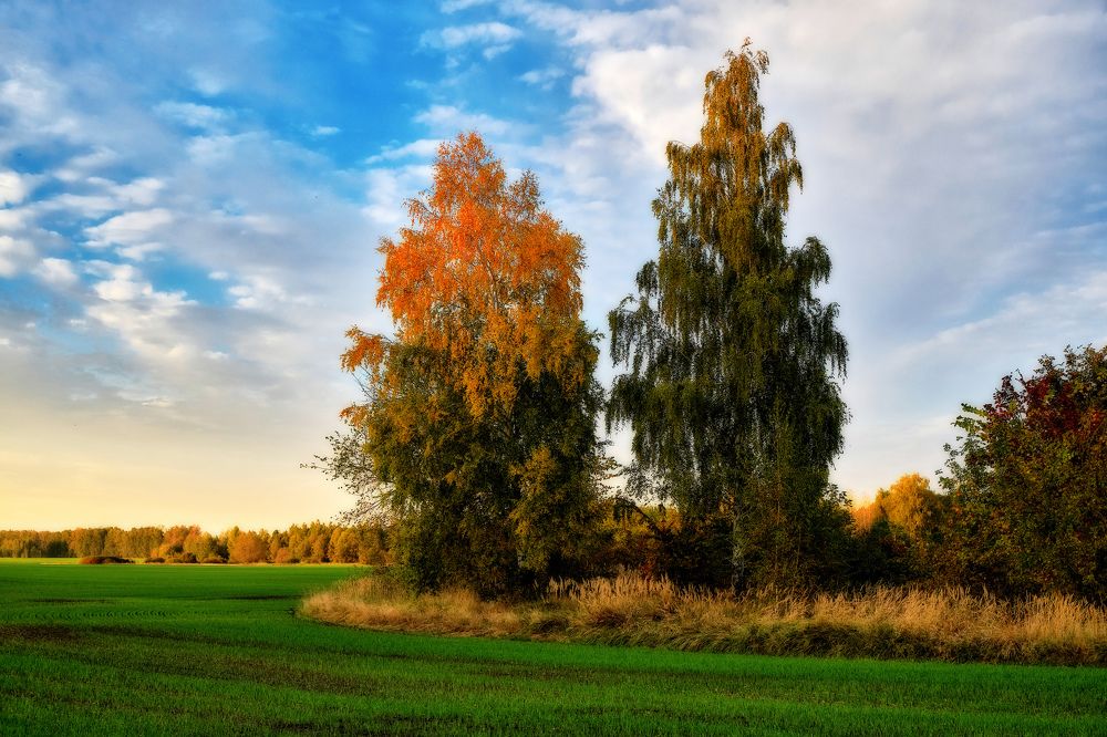 Краски осени