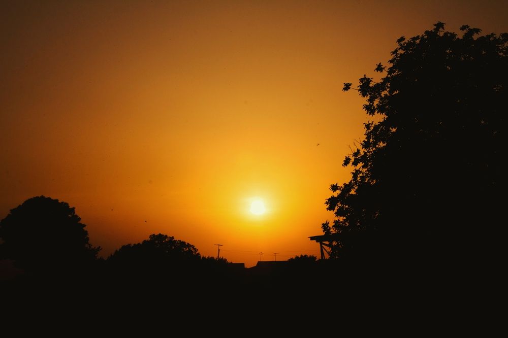 Photograph by Anastasiya Danilova