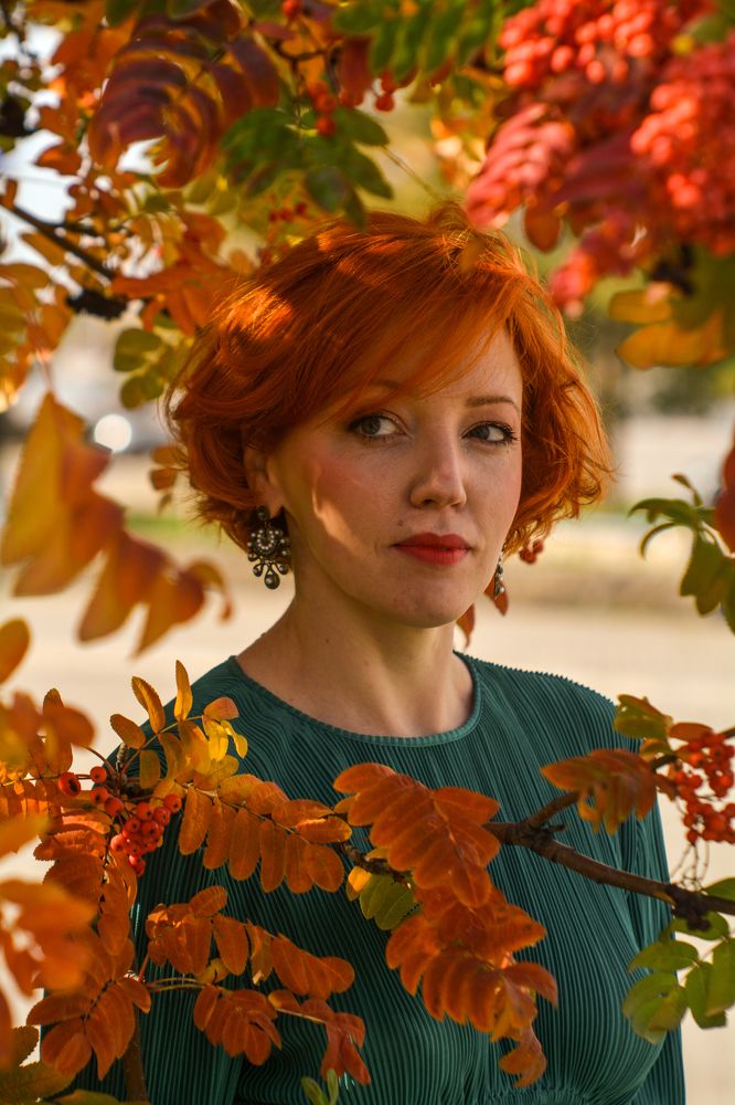 Фотография автора Дмитрий Хань