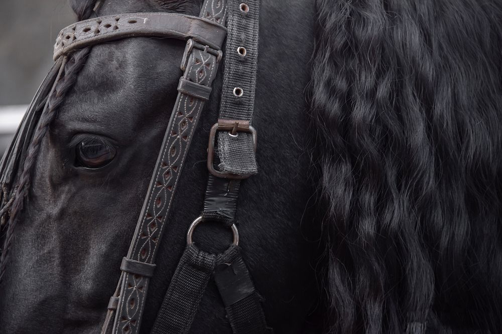 Photograph by Aлена Плясова