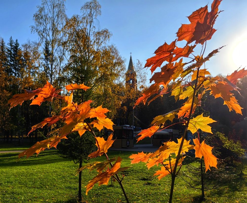 Photograph by Maiya Bulatova