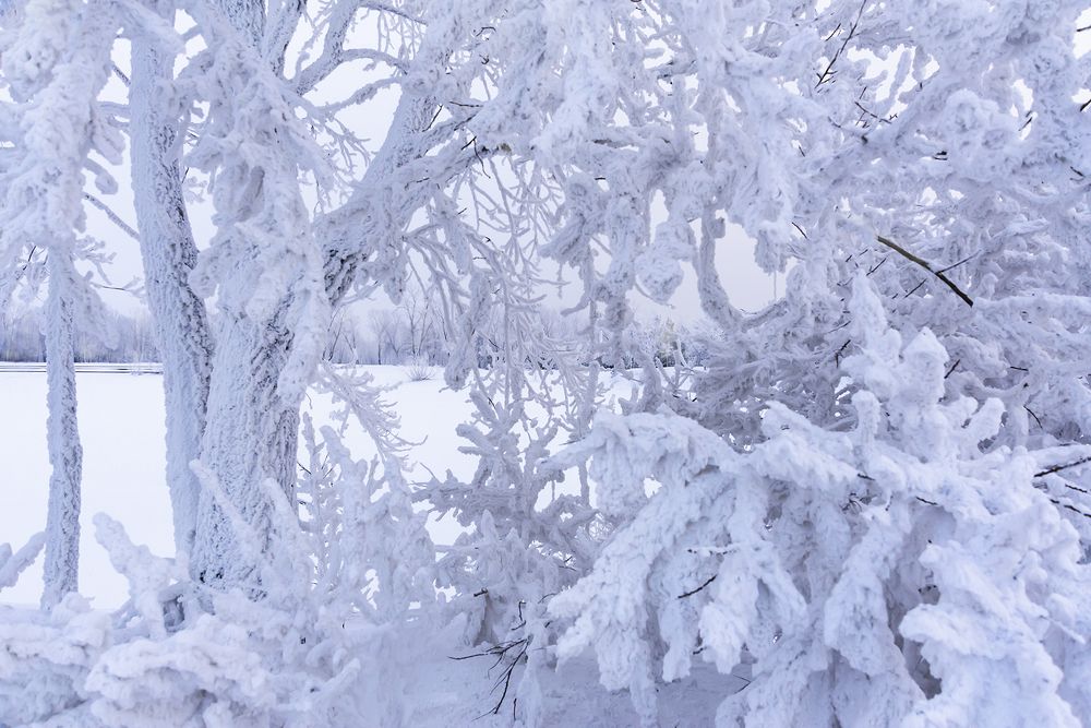 Photograph by Дроздова Наталья