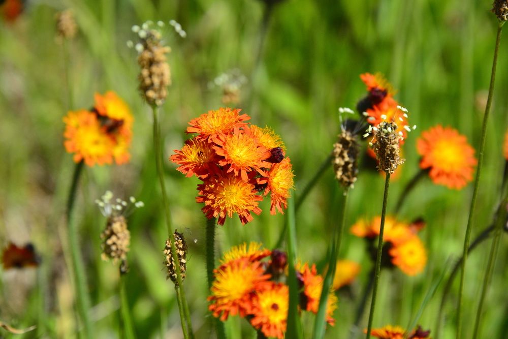 Photograph by Дмитрий Юдин