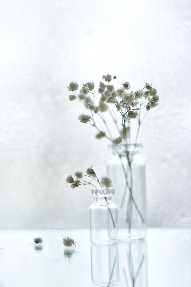 Фотография автора Анастасия Руднева