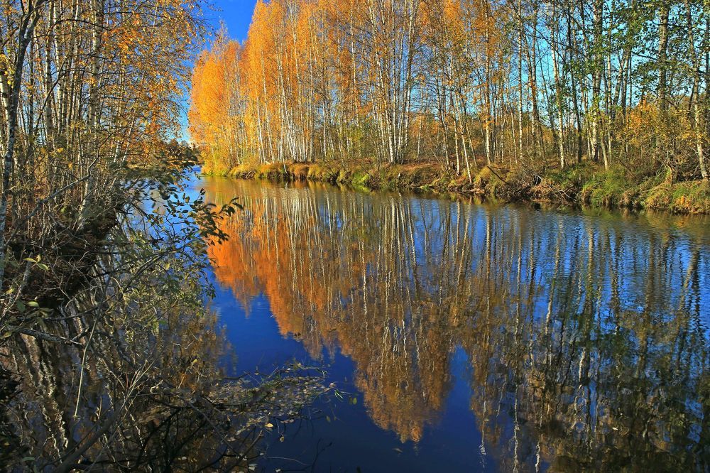 Фотография автора Юрий Кетель