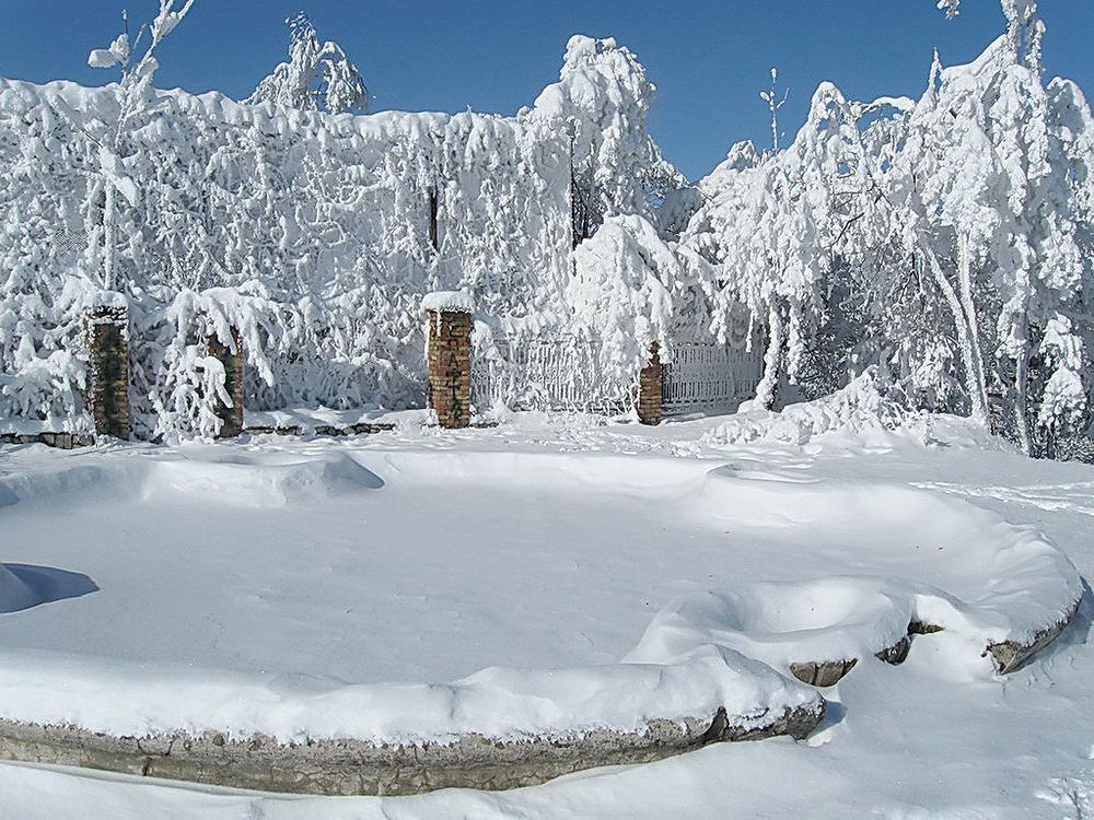 Photograph by Сергей