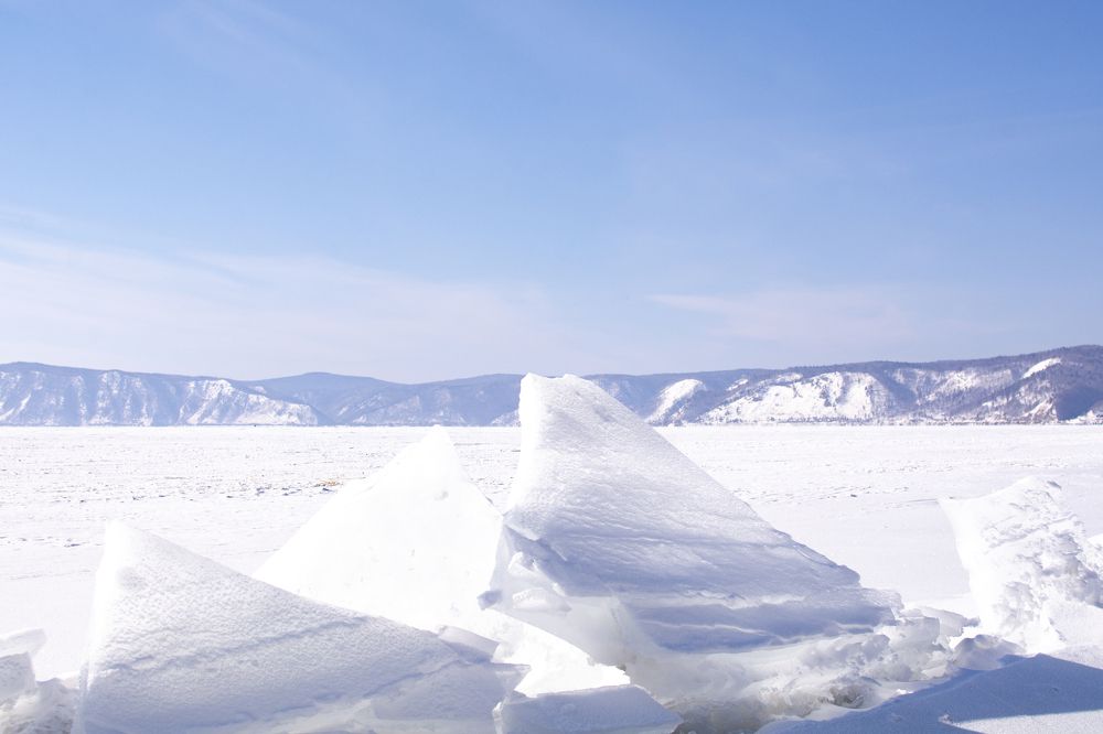 Фотография автора Алена