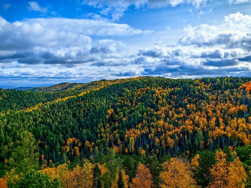 Photograph by Игорь Сапронов