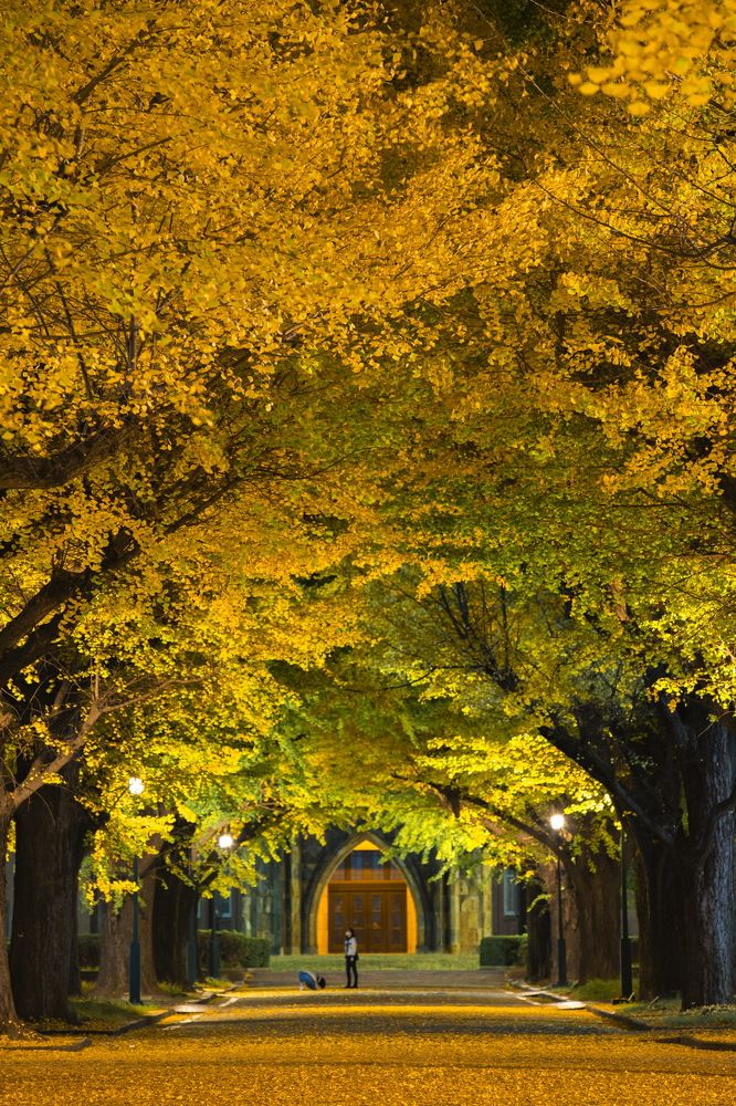 Photograph by Le Dieu