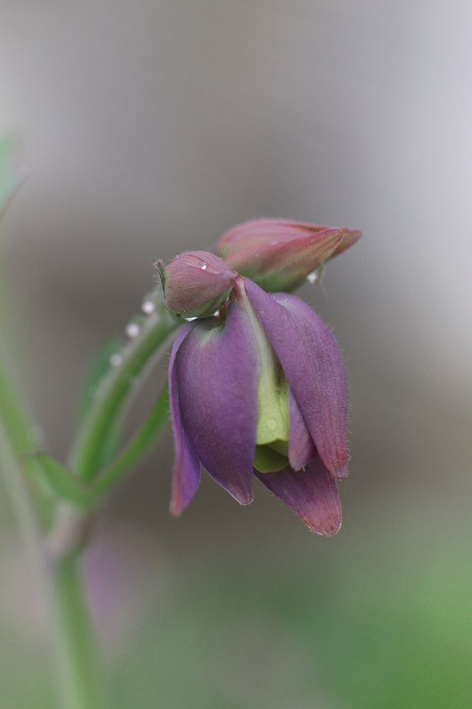 Photograph by Наталья Островцева