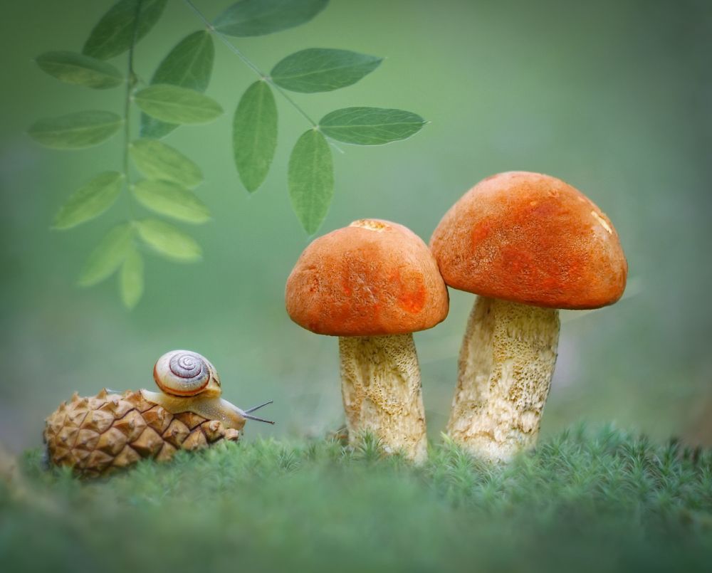 Photograph by Александр Гвоздь