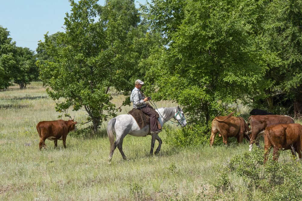 Photograph by Ирина Шибитова