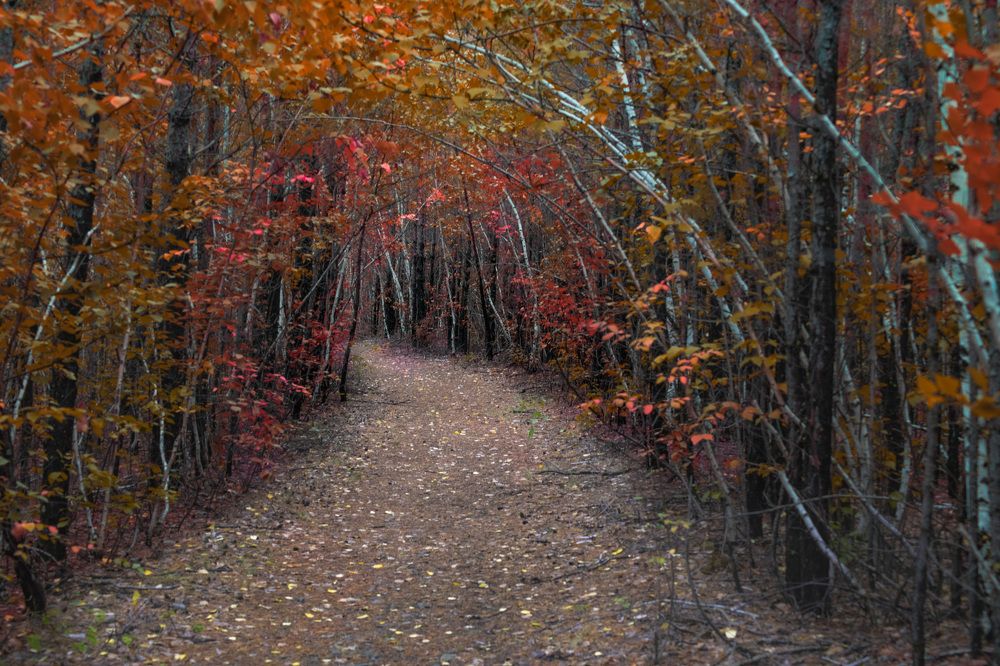 Photograph by Konstantin