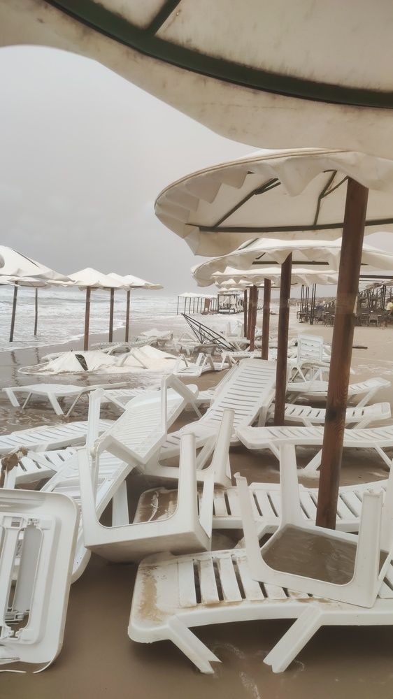 Photograph by Iryna Rybachenko