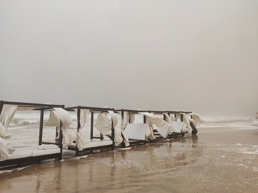 Photograph by Iryna Rybachenko