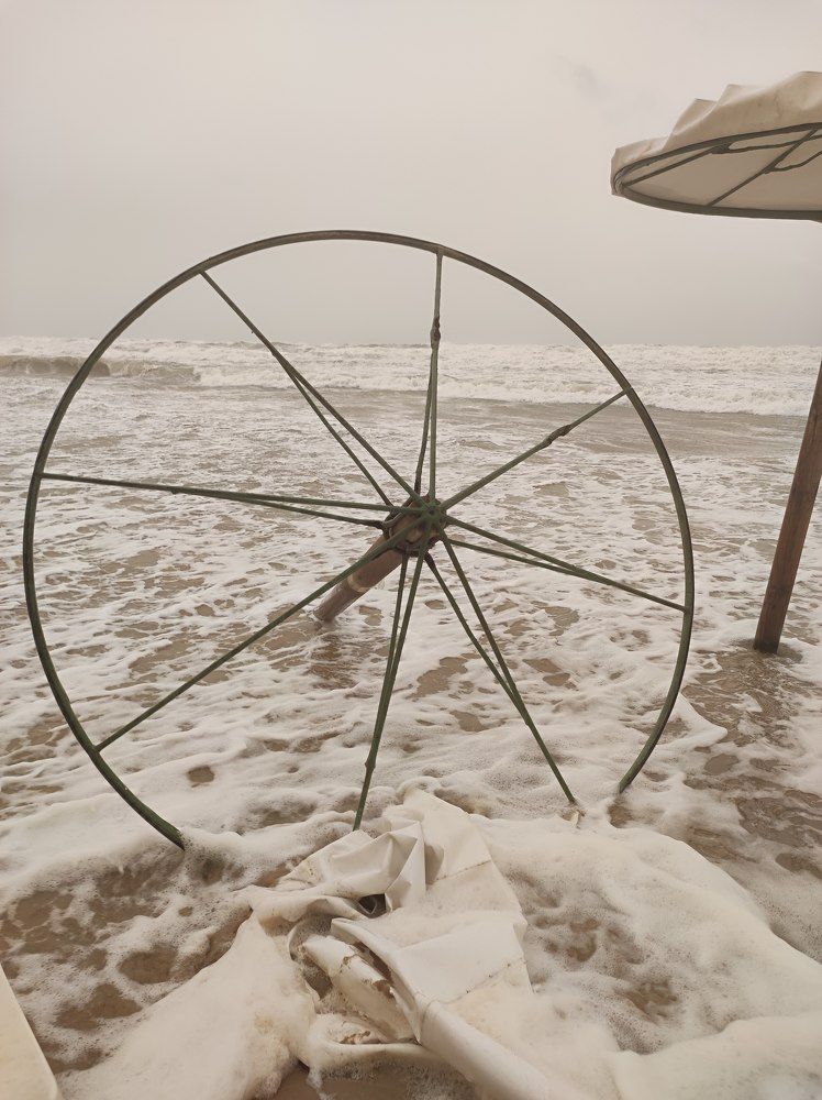 Photograph by Iryna Rybachenko