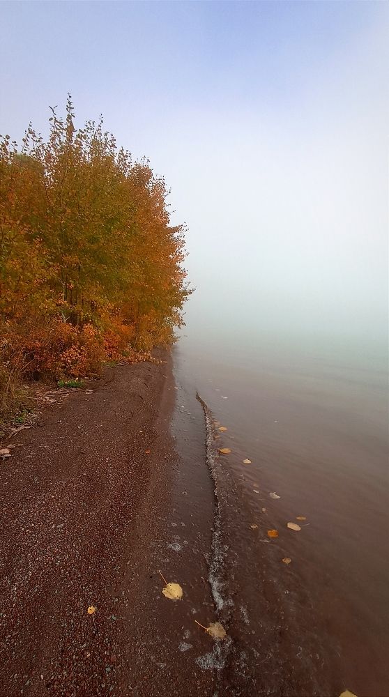 Photograph by Елена Кузнецова