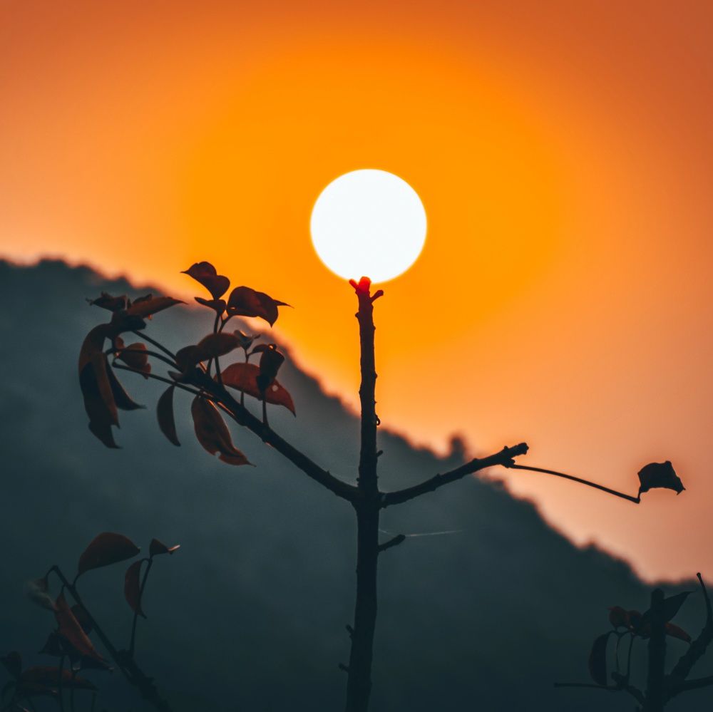 Фотография автора Karukola Puneeth