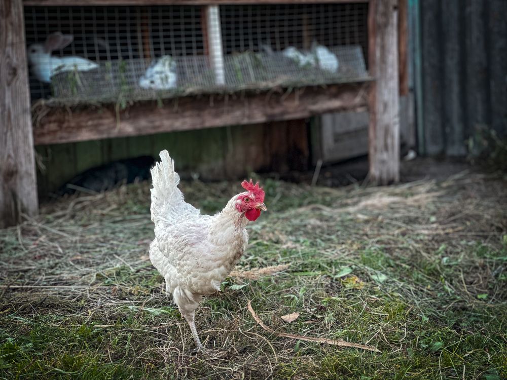 Photograph by Екатерина Слепнева