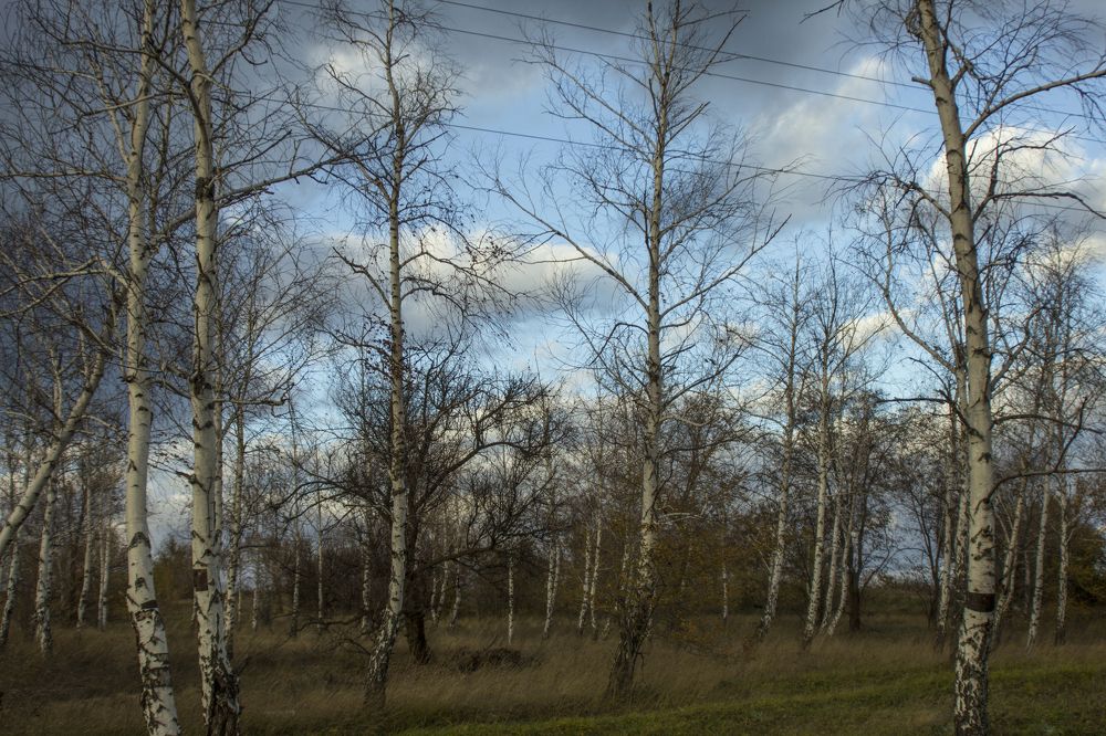 Photograph by Ирина Шибитова