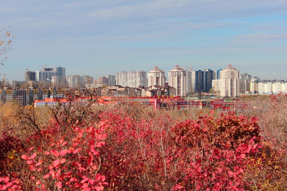 Photograph by Ирина Шибитова