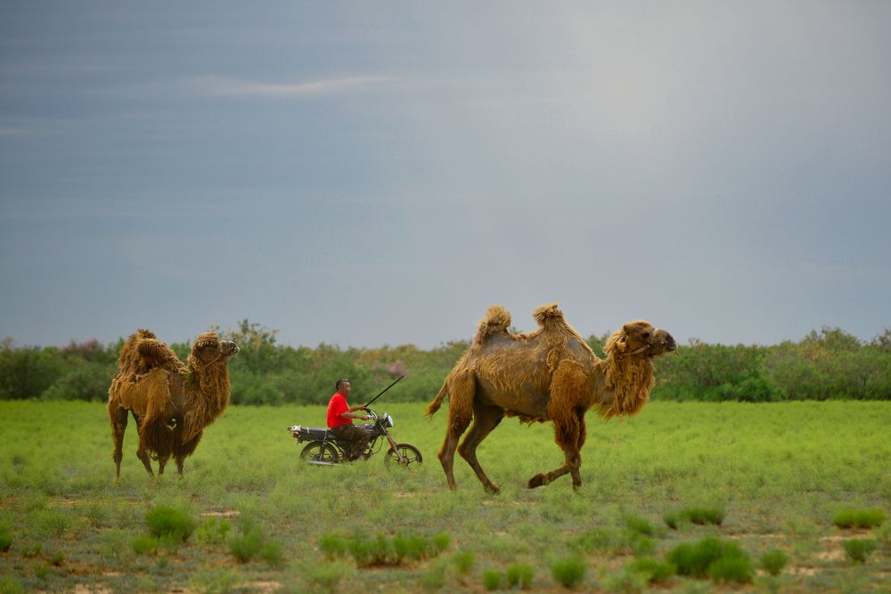 Photograph by Алексей Верзун