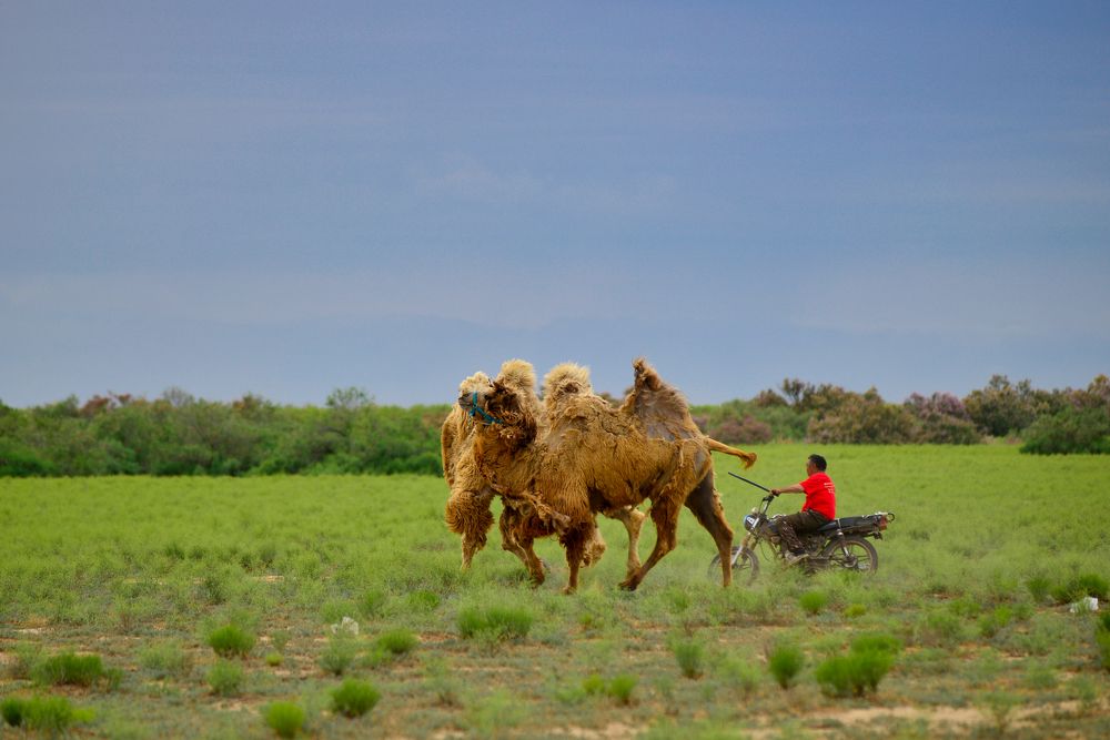 Photograph by Алексей Верзун