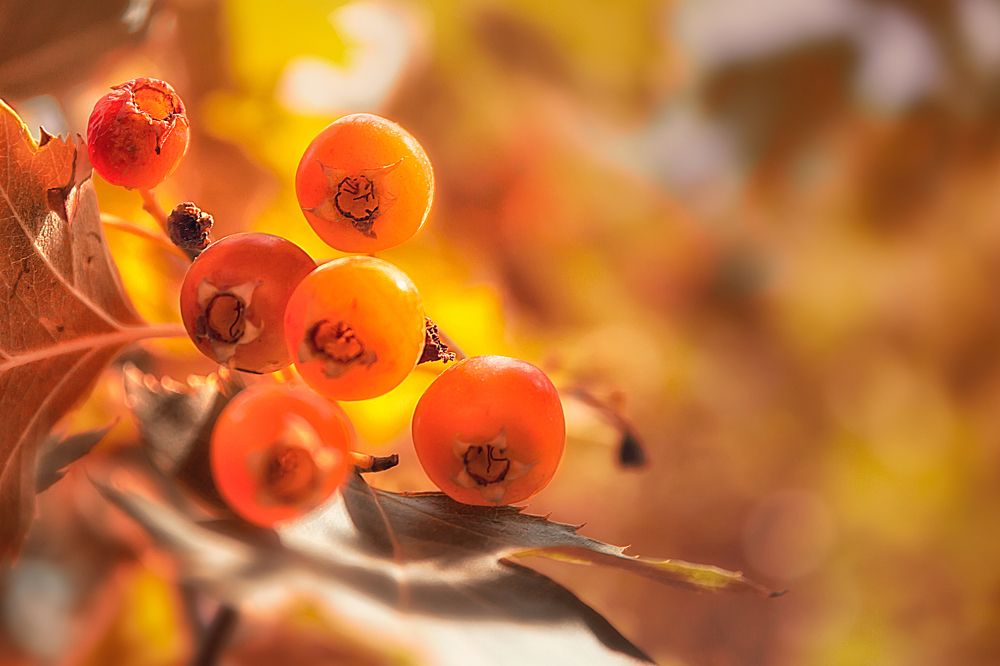 Photograph by Мария Фадеичева