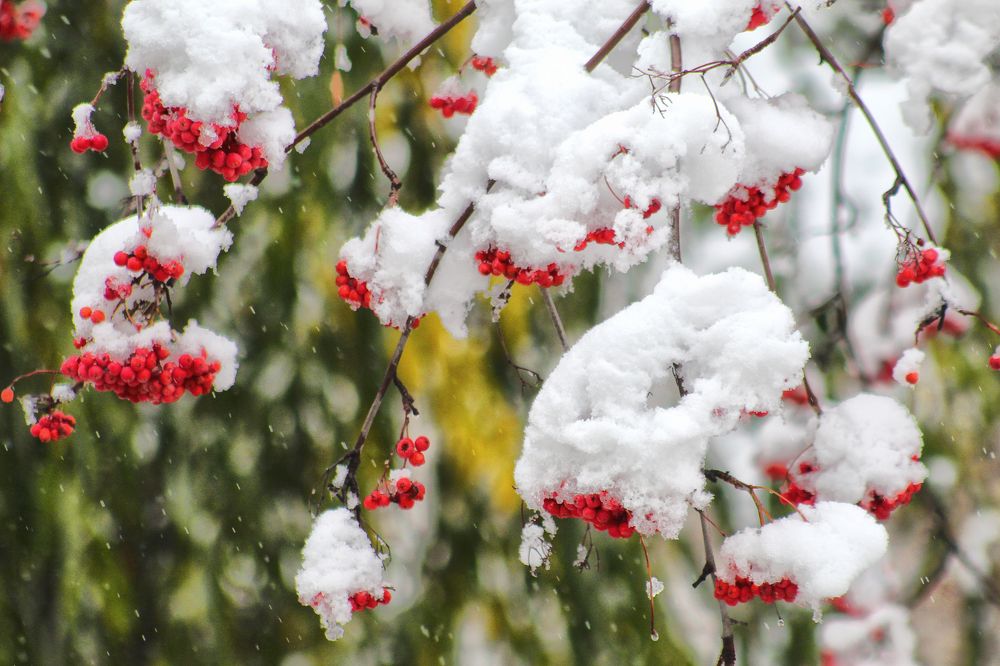 Photograph by Vitaliy Saposhnikov