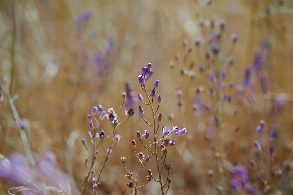 Photograph by Андрей Прищепин