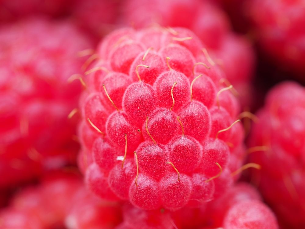 Photograph by Владимир Боровский