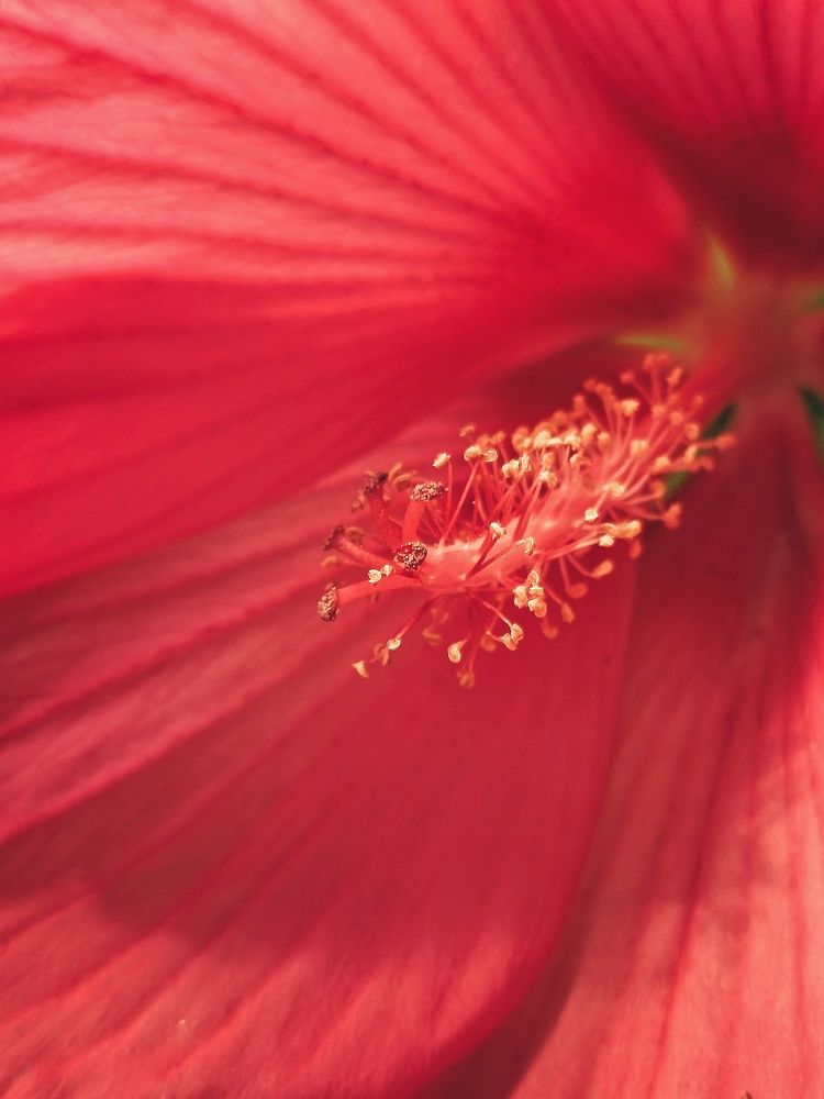 Photograph by Anastasiya Danilova