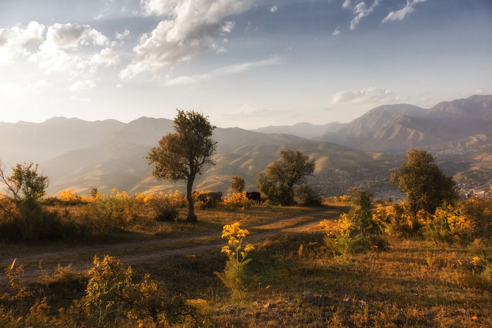 Photograph by Мария Фадеичева