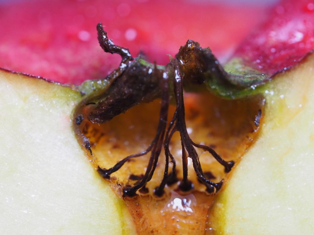 Photograph by Владимир Боровский