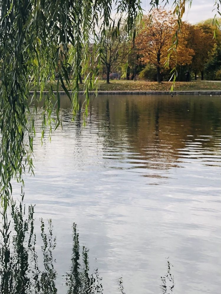 Photograph by Татьяна Тишкова