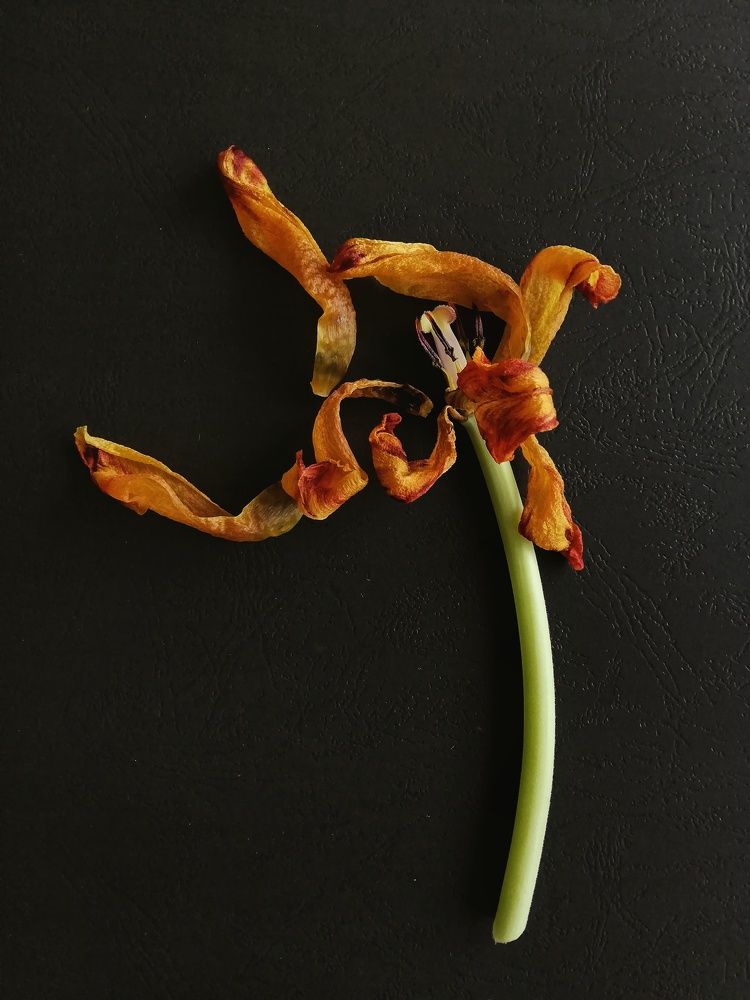 Photograph by Татьяна Смирнова