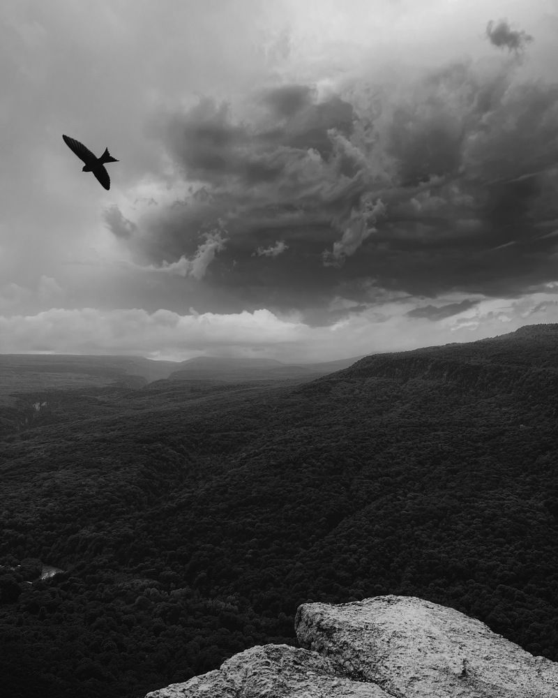 Photograph by Андрей Казаков