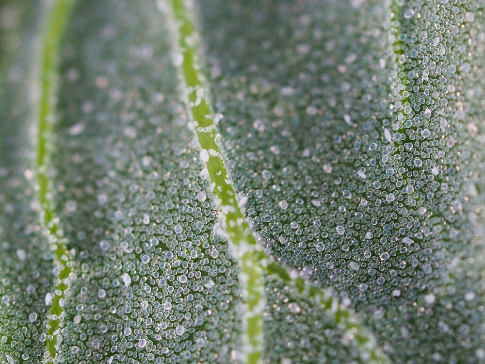 Photograph by Владимир Боровский