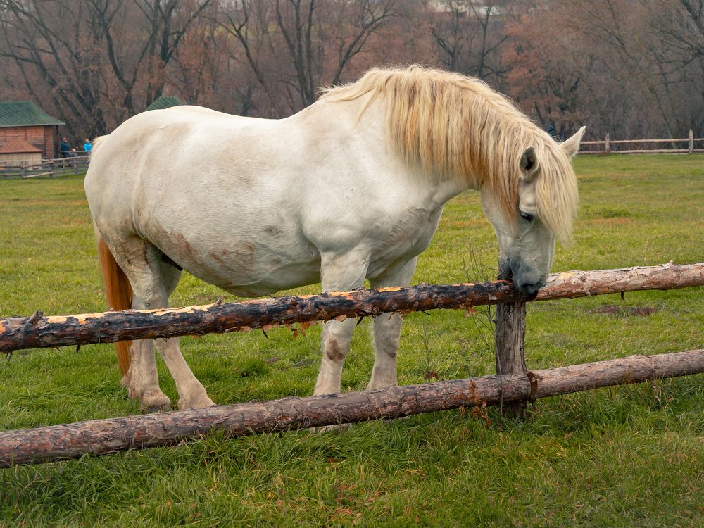 Photograph by Ярослав Изотов