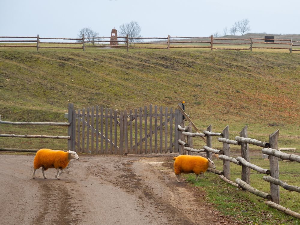 Photograph by Ярослав Изотов