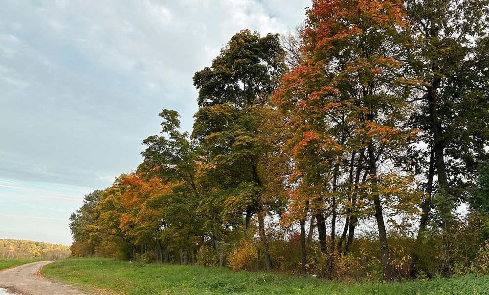 Photograph by Хирдина Екатерина